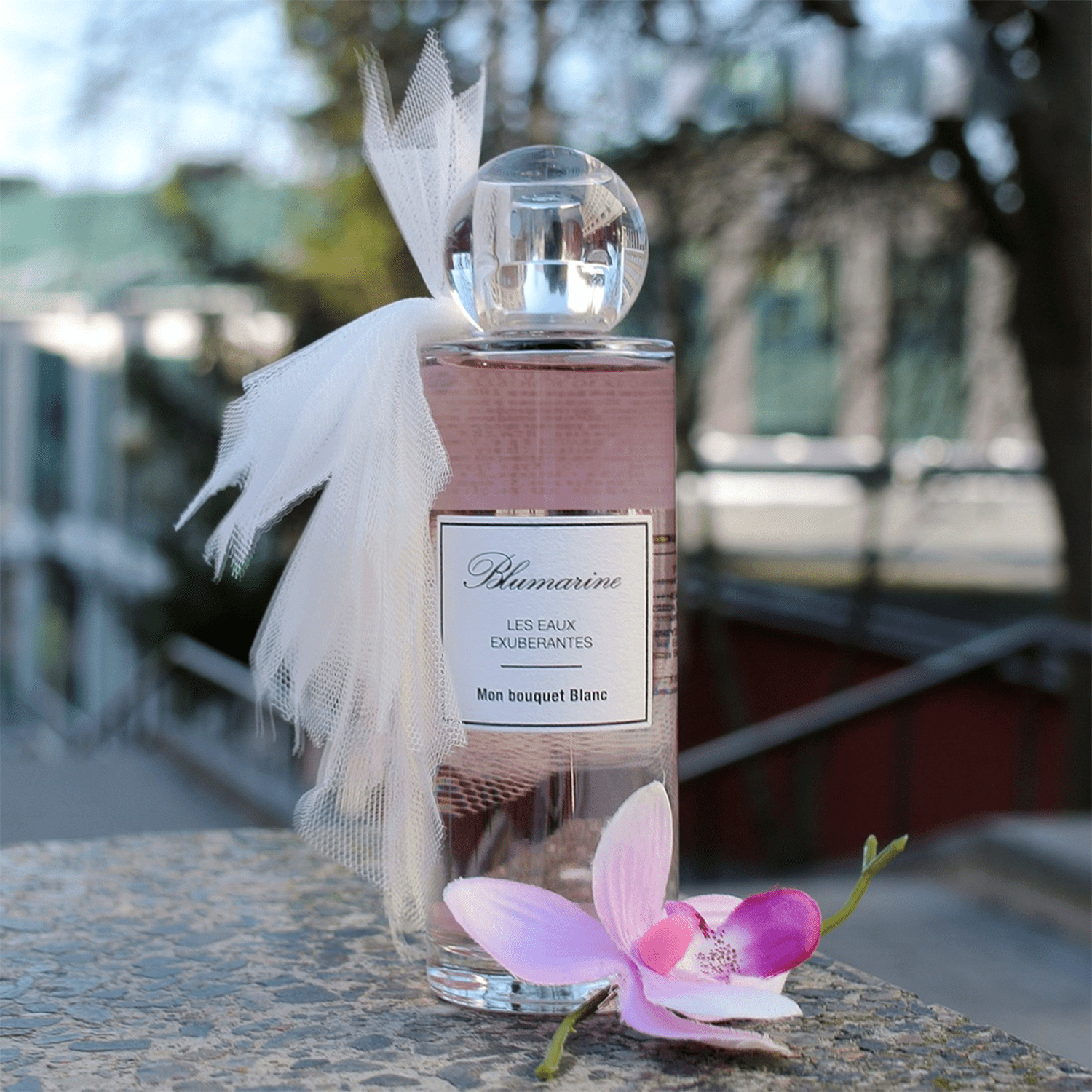 Blumarine Les Eaux Exuberantes Mon Bouquet Blanc EDT | My Perfume Shop