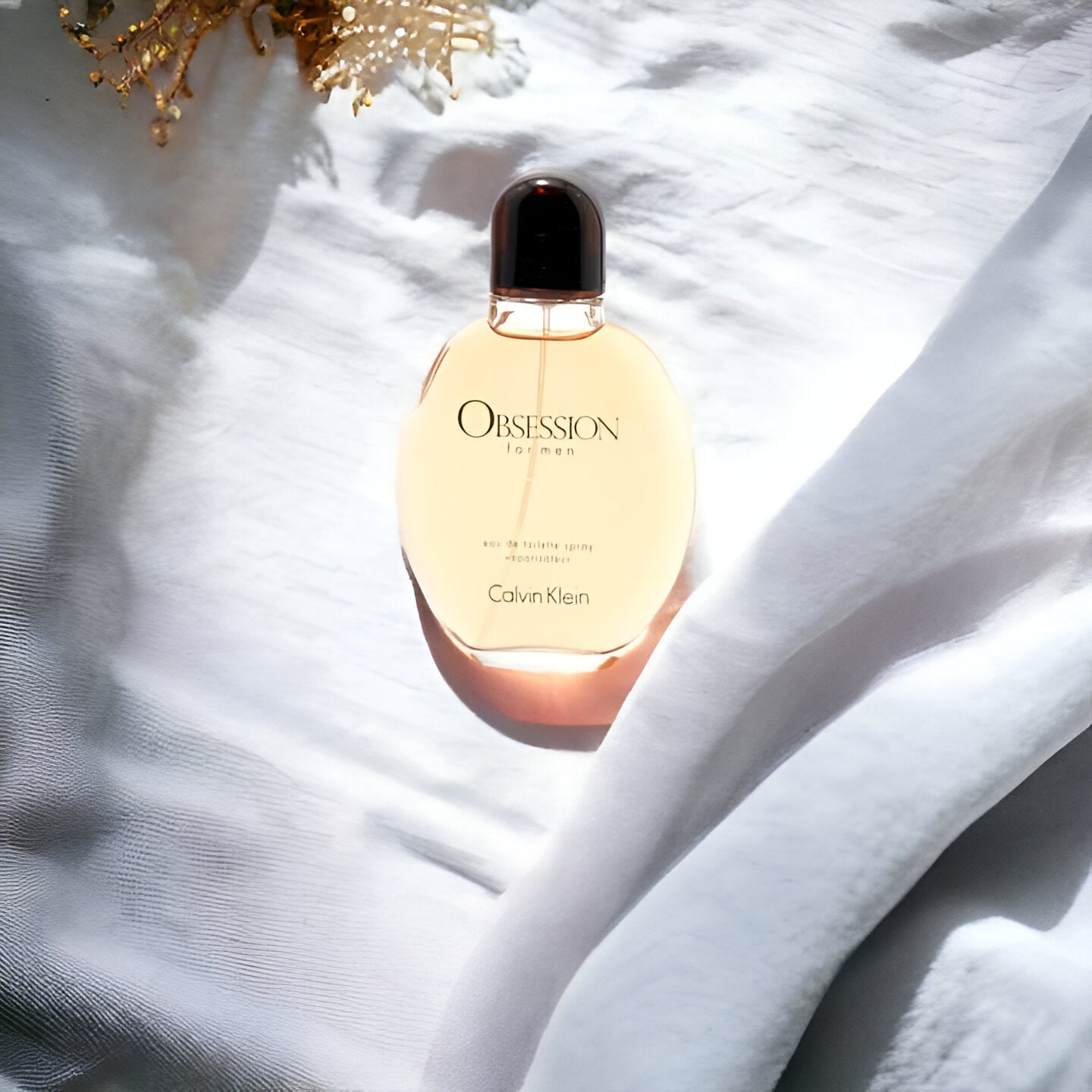 Calvin Klein Obsession EDT For Men | My Perfume Shop