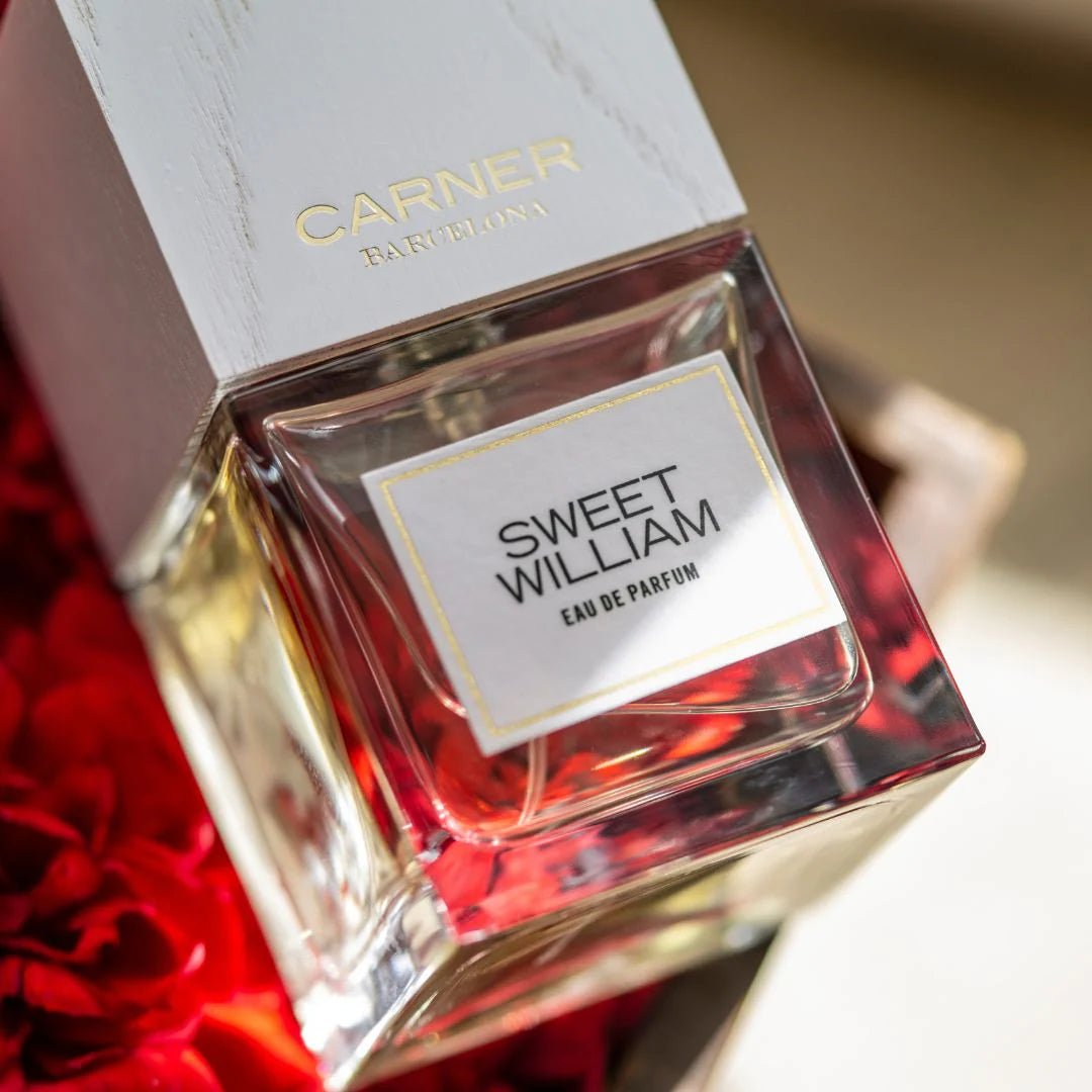 Carner Barcelona Sweet William EDP | My Perfume Shop