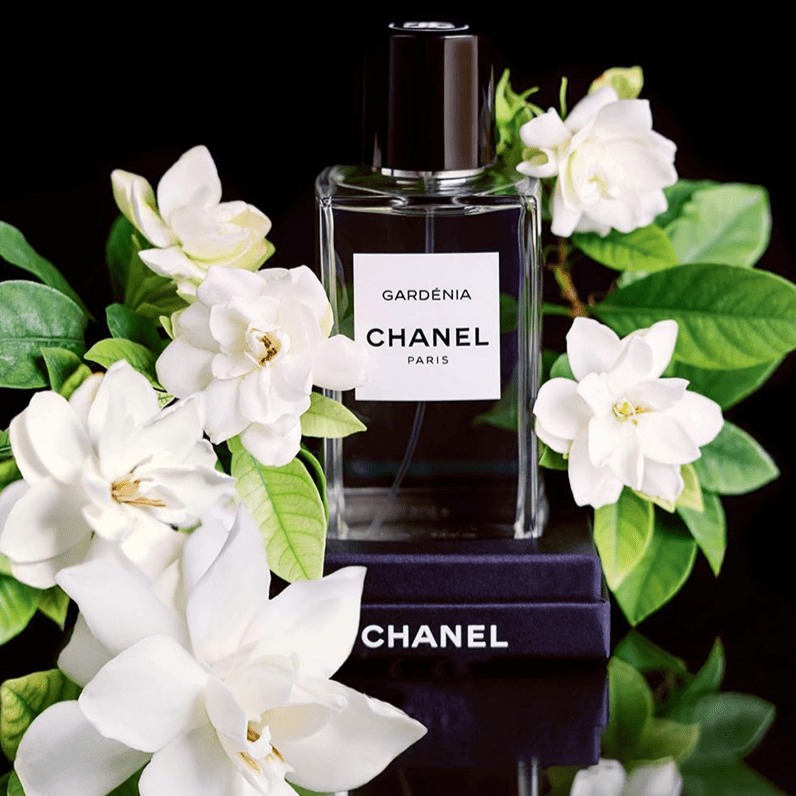 Chanel Gardenia Les Exclusifs De Chanel EDP | My Perfume Shop