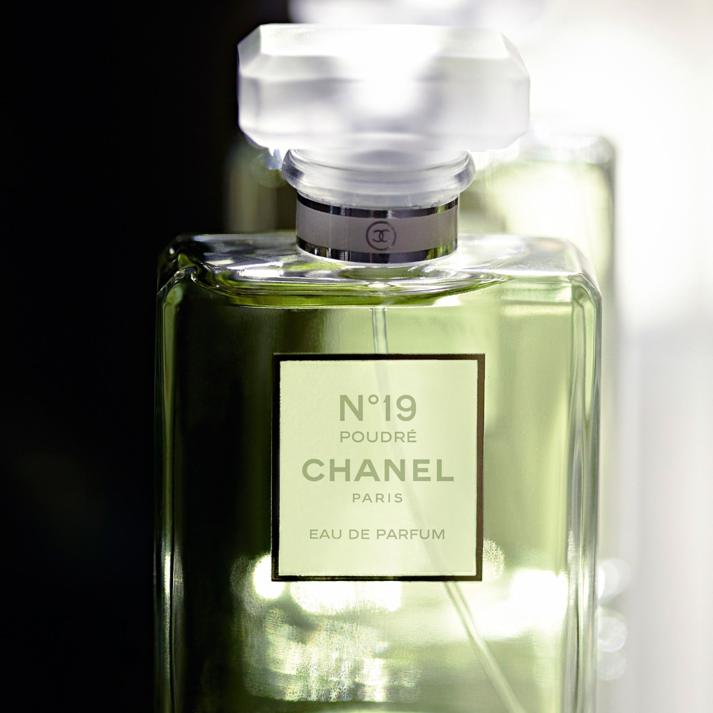 Chanel No.19 Poudre EDP | My Perfume Shop