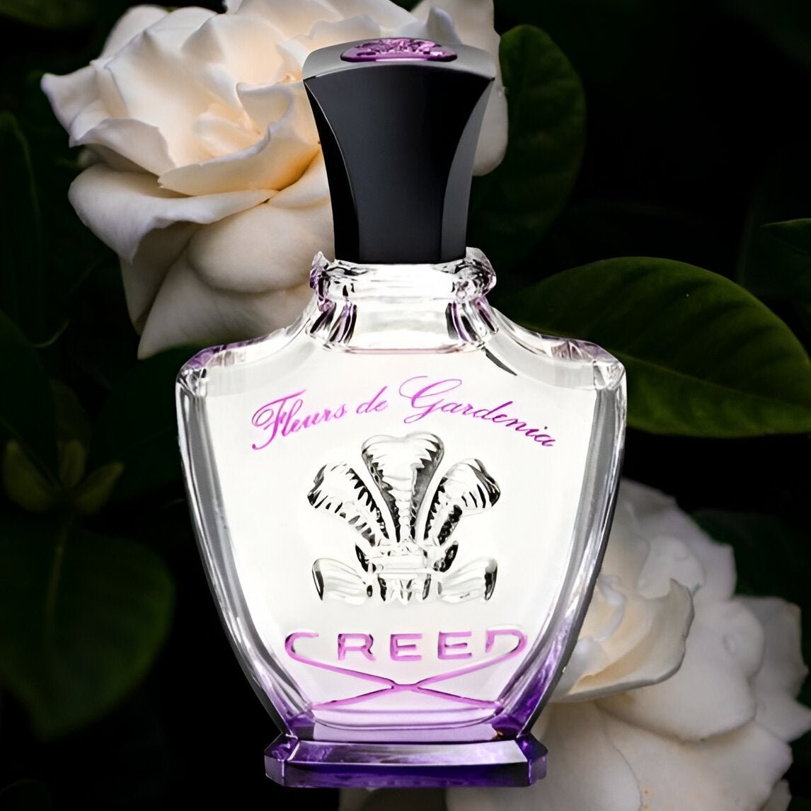 Creed Fleurs De Gardenia EDP | My Perfume Shop