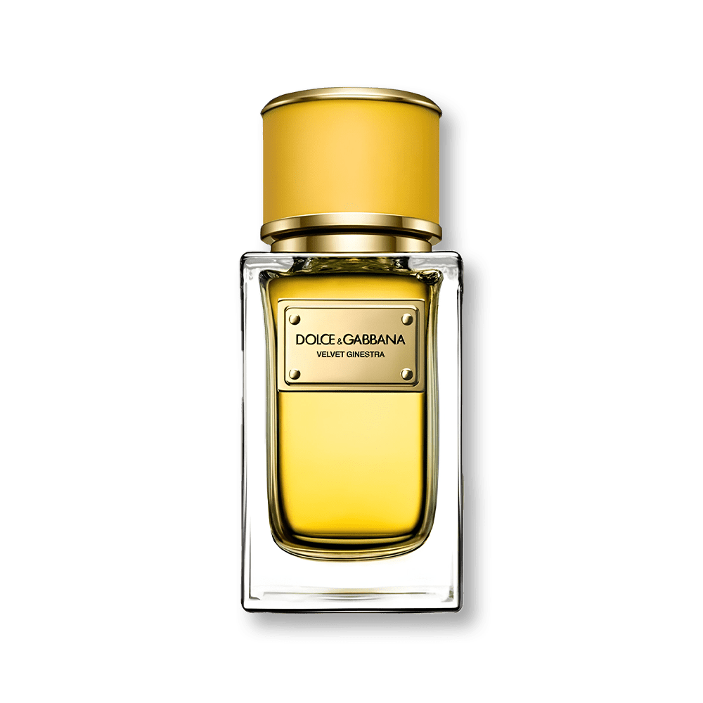 Dolce & Gabbana Velvet Ginestra EDP | My Perfume Shop