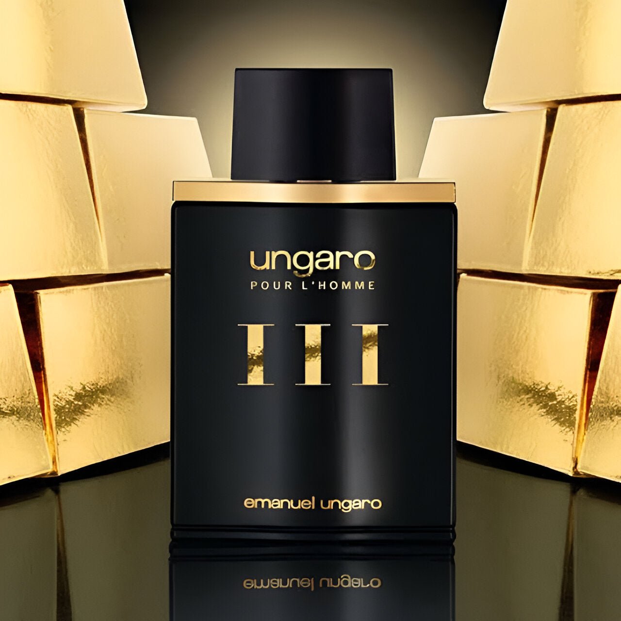 Emanuel Ungaro Ungaro Pour L'Homme Iii EDT | My Perfume Shop