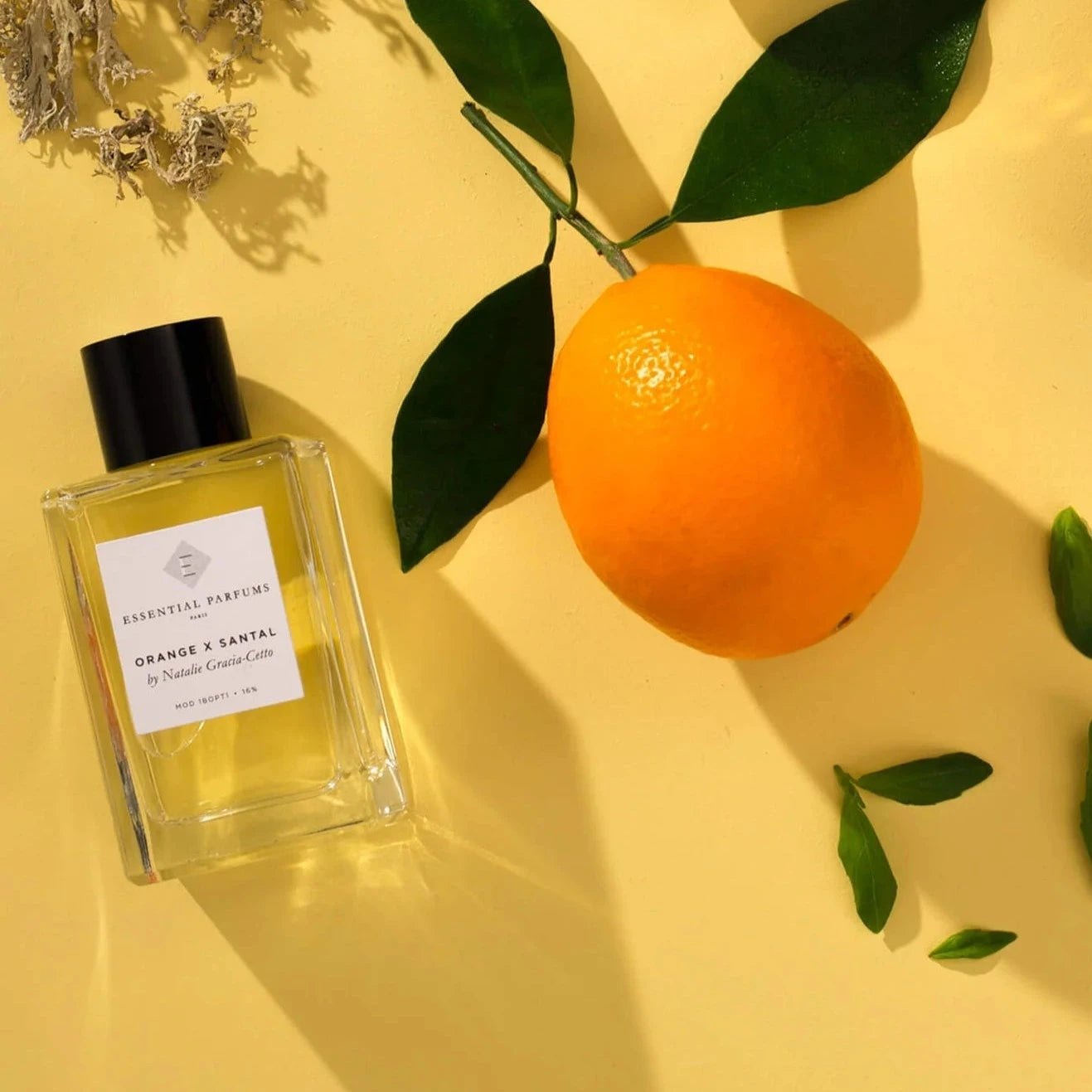 Essential Parfums Orange X Santal EDP | My Perfume Shop