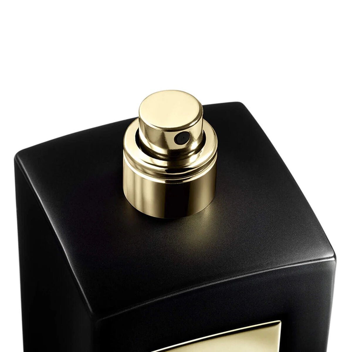 Giorgio Armani Prive Cuir Noir EDP Intense | My Perfume Shop