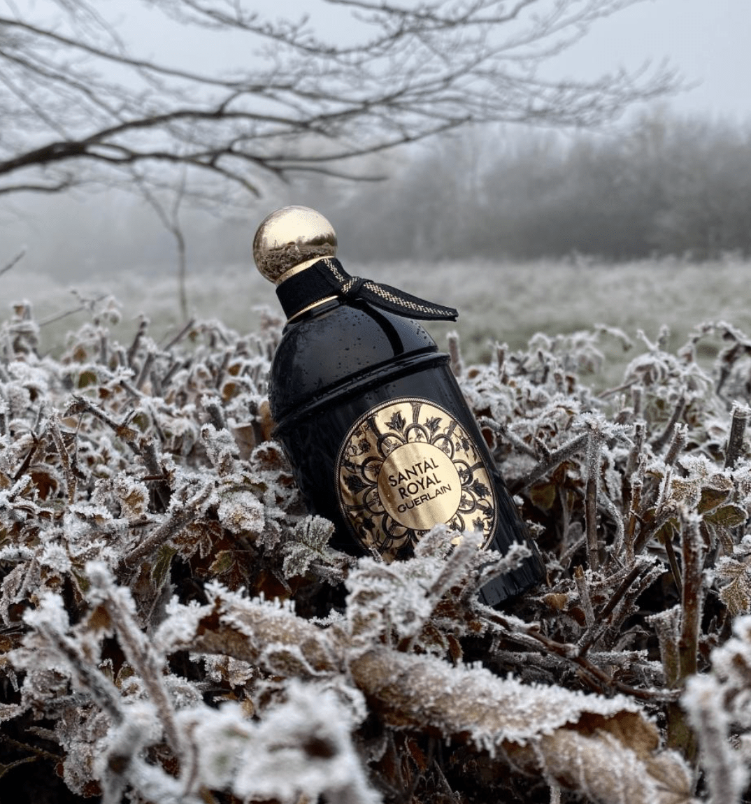 Guerlain Santal Royal EDP | My Perfume Shop