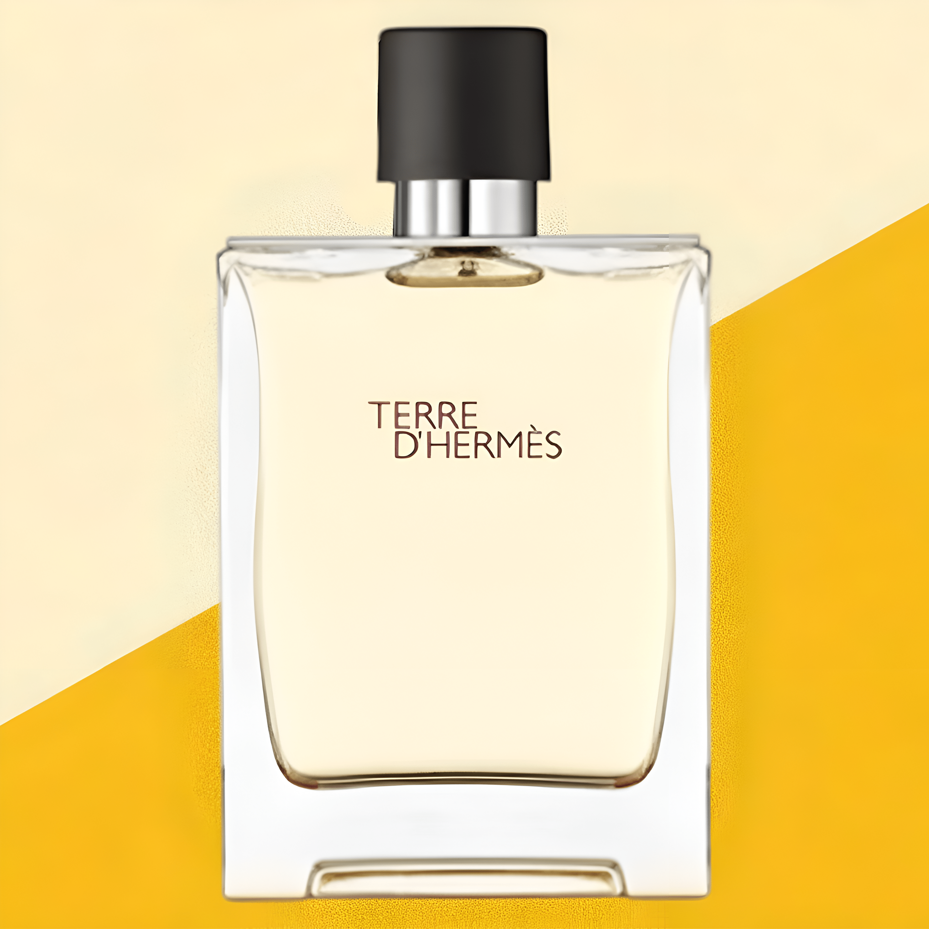 Hermes Terre D'Hermes EDT | My Perfume Shop