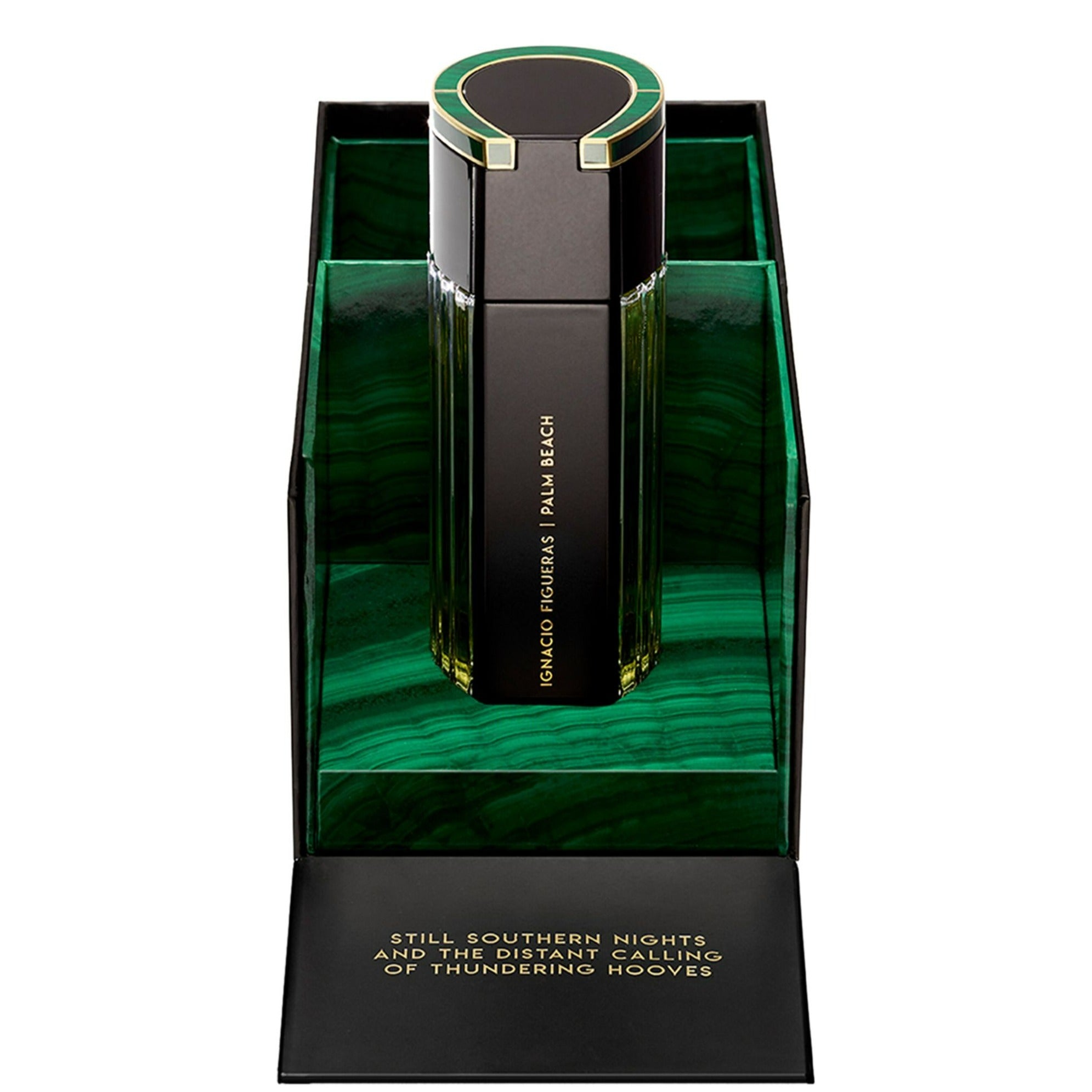 Ignacio Figueras Palm Beach EDP | My Perfume Shop