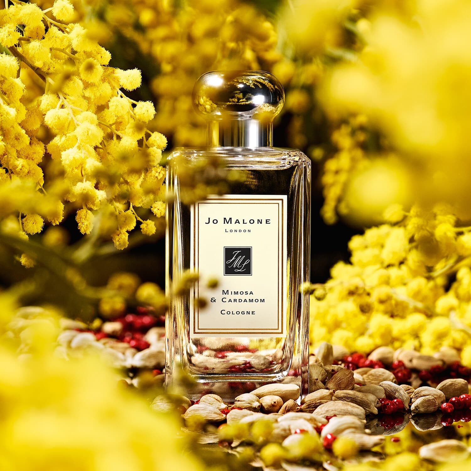 Jo Malone Mimosa & Cardamom Cologne | My Perfume Shop