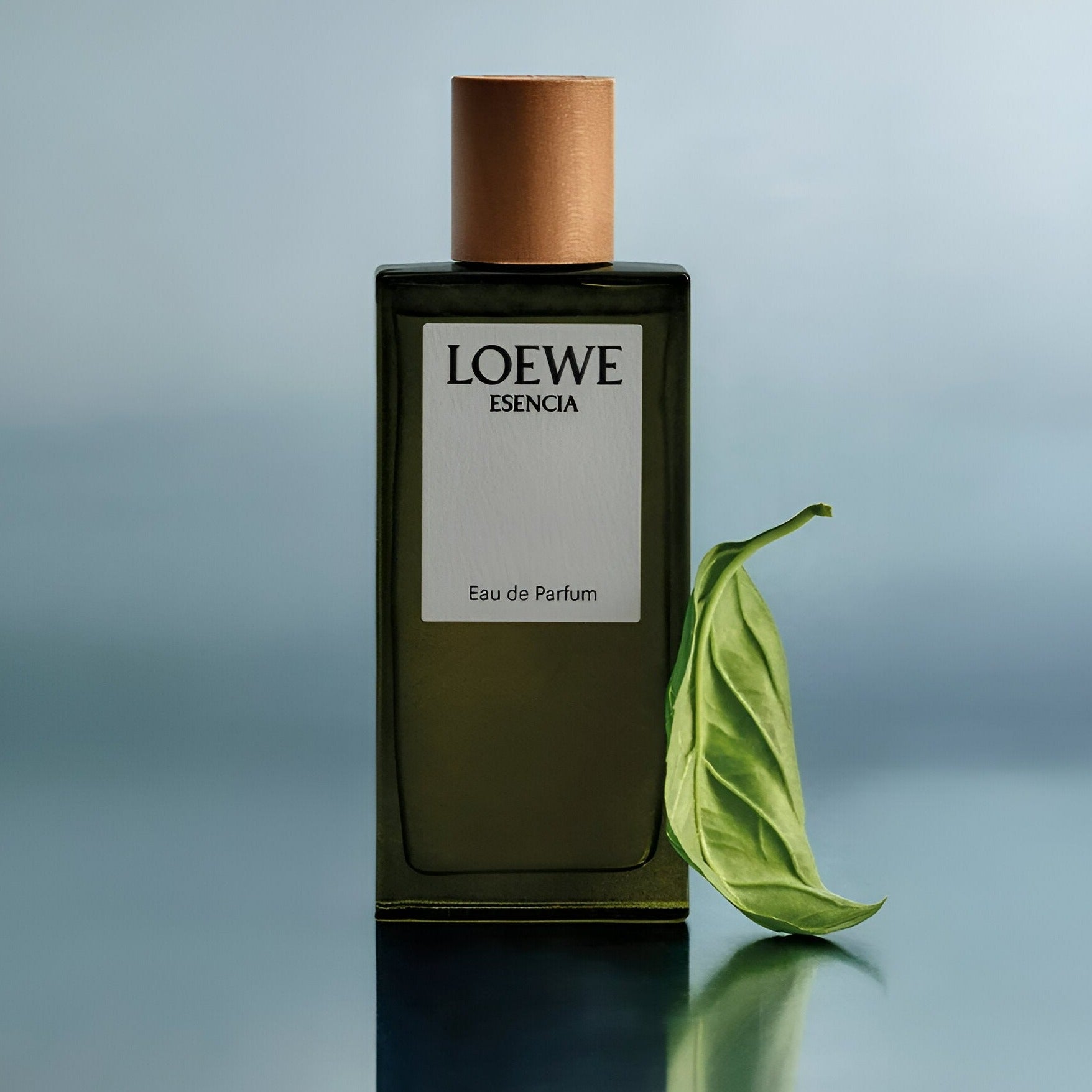 Loewe Esencia Dio Spray | My Perfume Shop