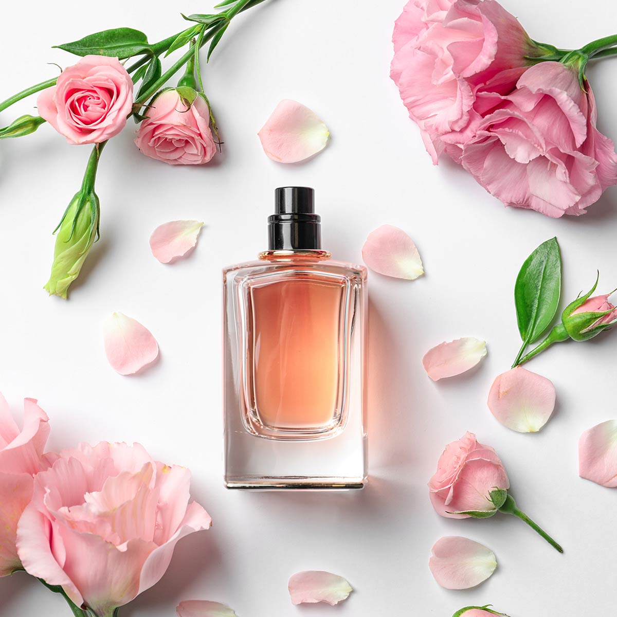 We're making it easier to buy perfume | My Perfume Shop