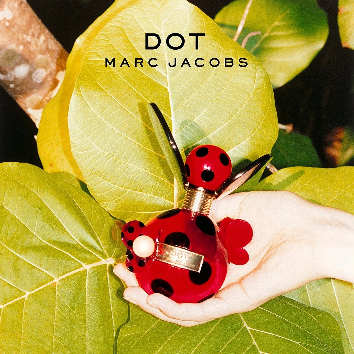 Marc Jacobs Dot EDP | My Perfume Shop