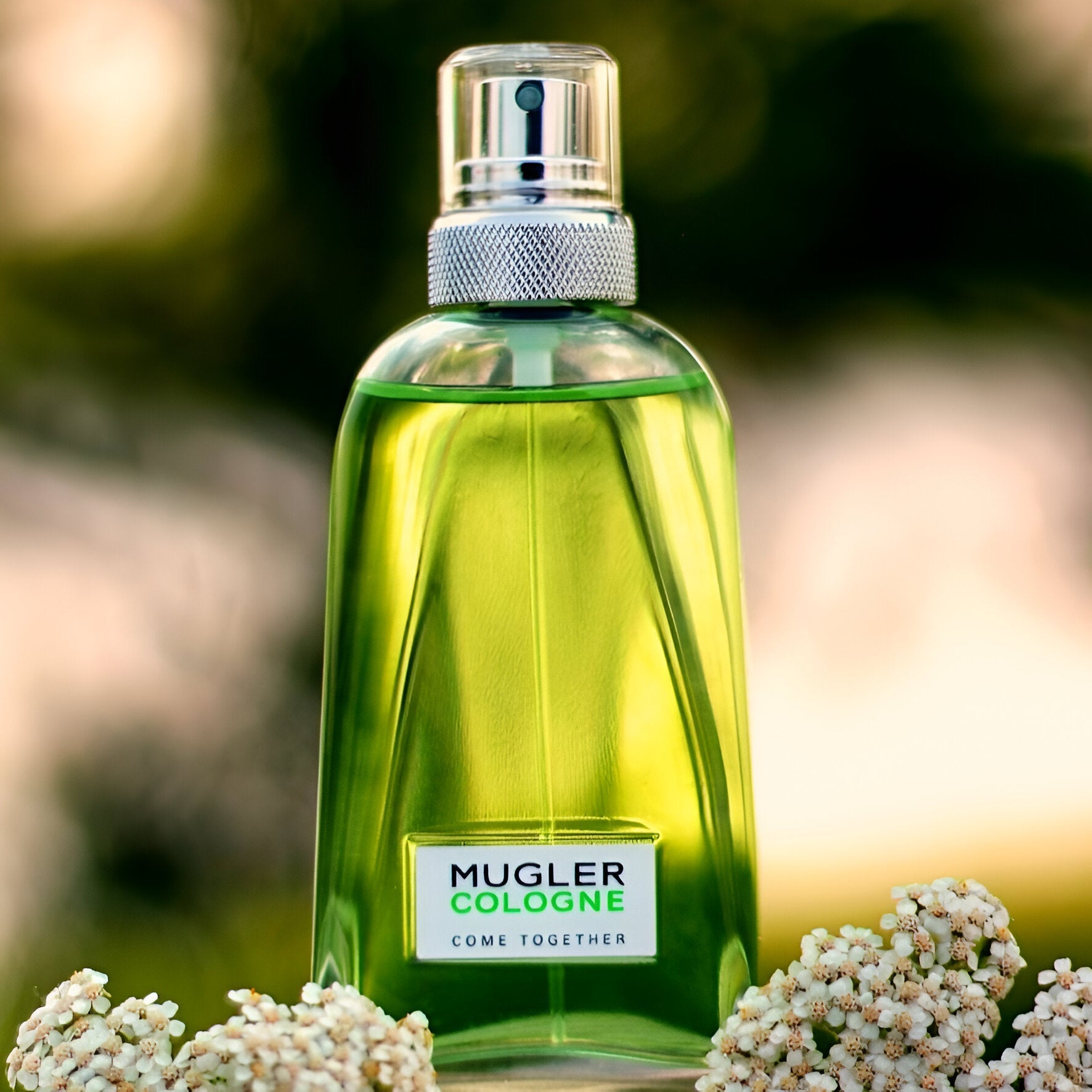 Mugler Cologne Come Together EDT | My Perfume Shop