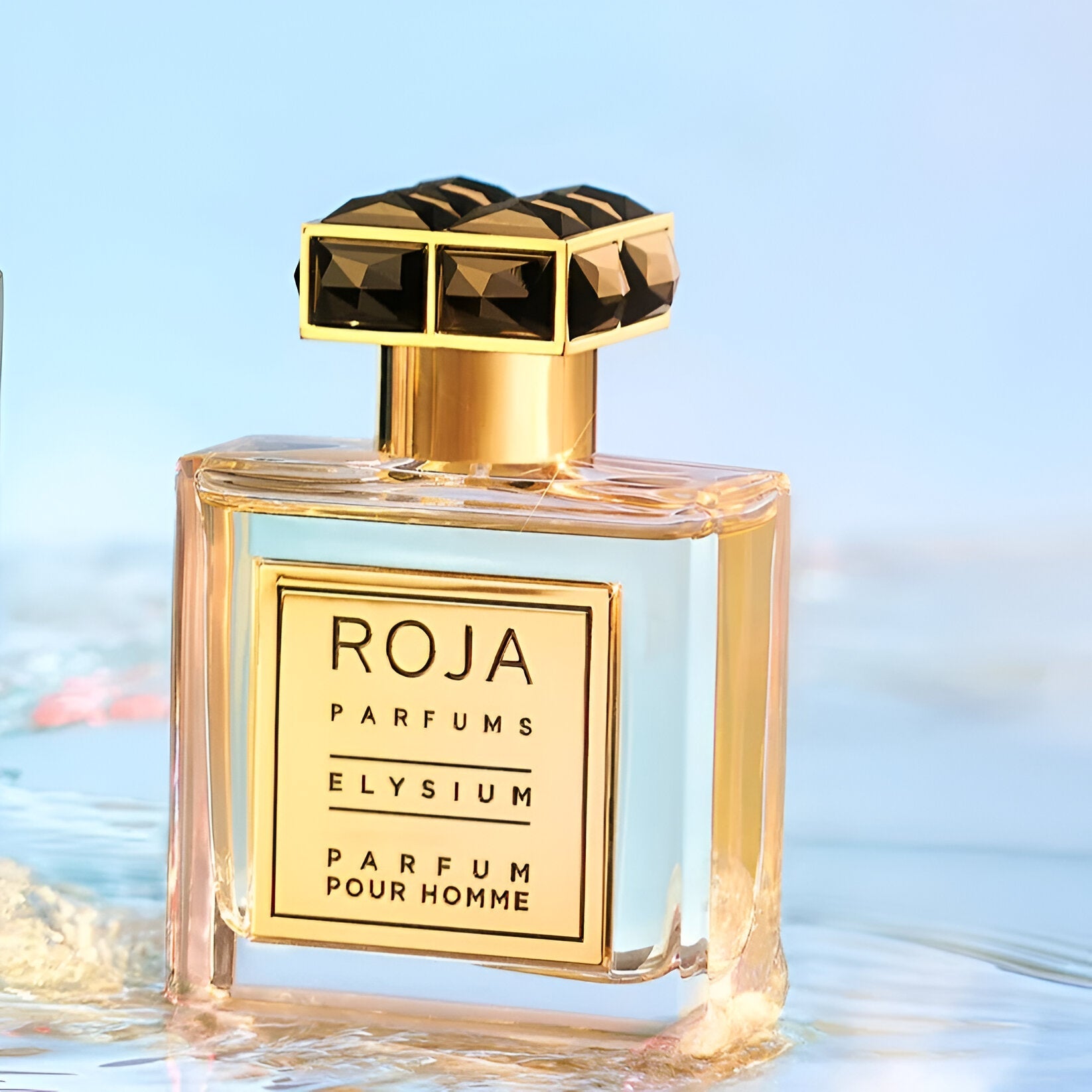 Roja Parfums Elysium Pour Homme EDP | My Perfume Shop