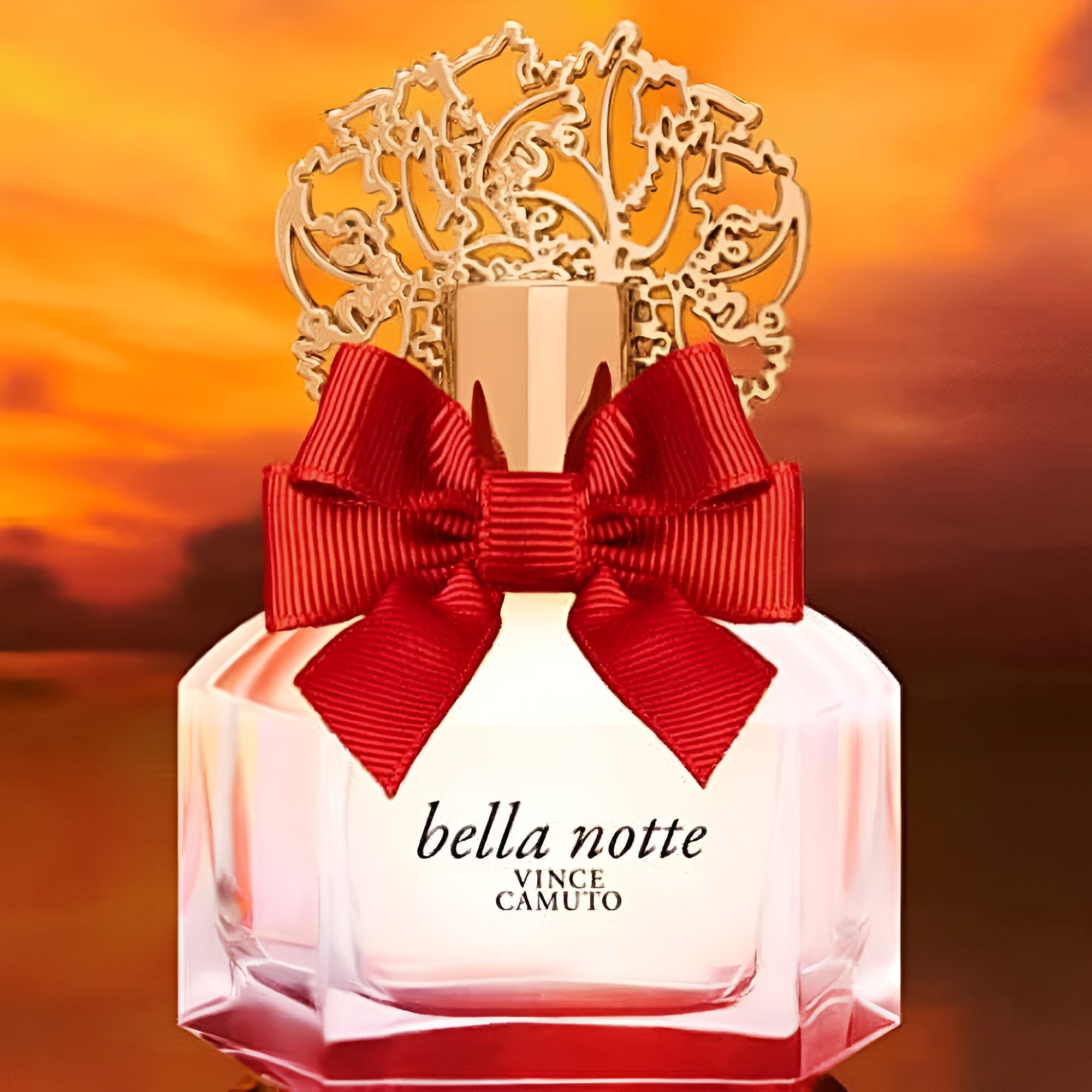 Vince Camuto Bella Notte EDP Intense | My Perfume Shop