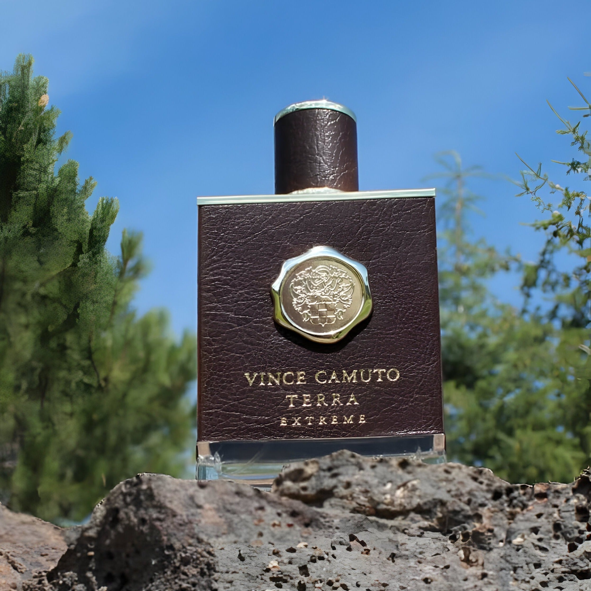 Vince Camuto Terra Extreme EDP | My Perfume Shop