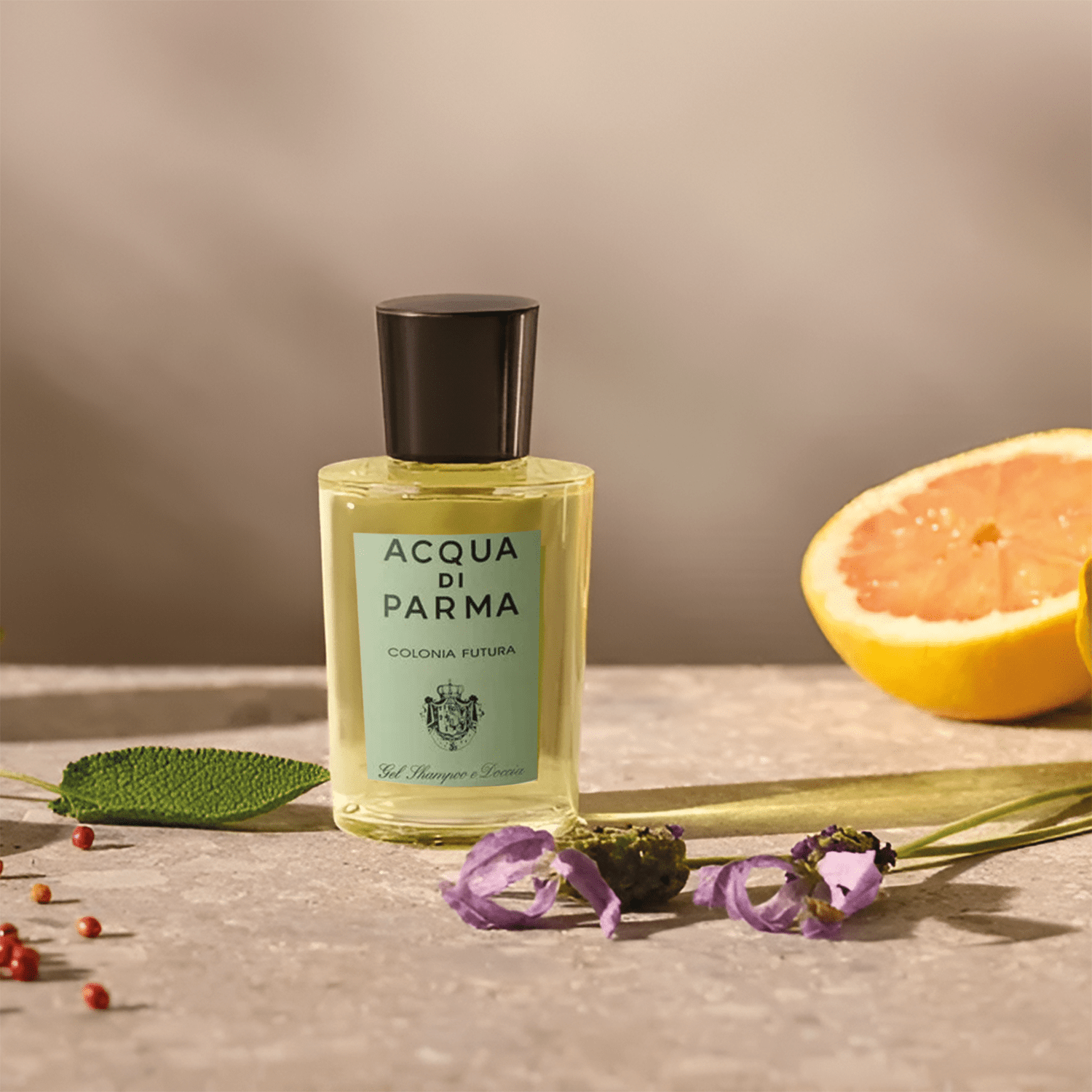 Acqua Di Parma Colonia Futura Hair And Shower Gel | My Perfume Shop