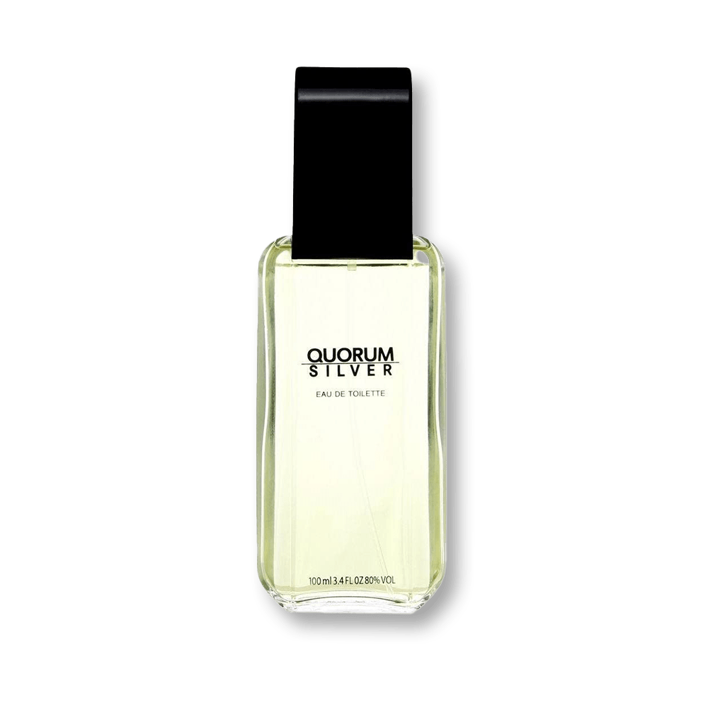 Antonio Puig Quorum Silver EDT For Men | My Perfume Shop