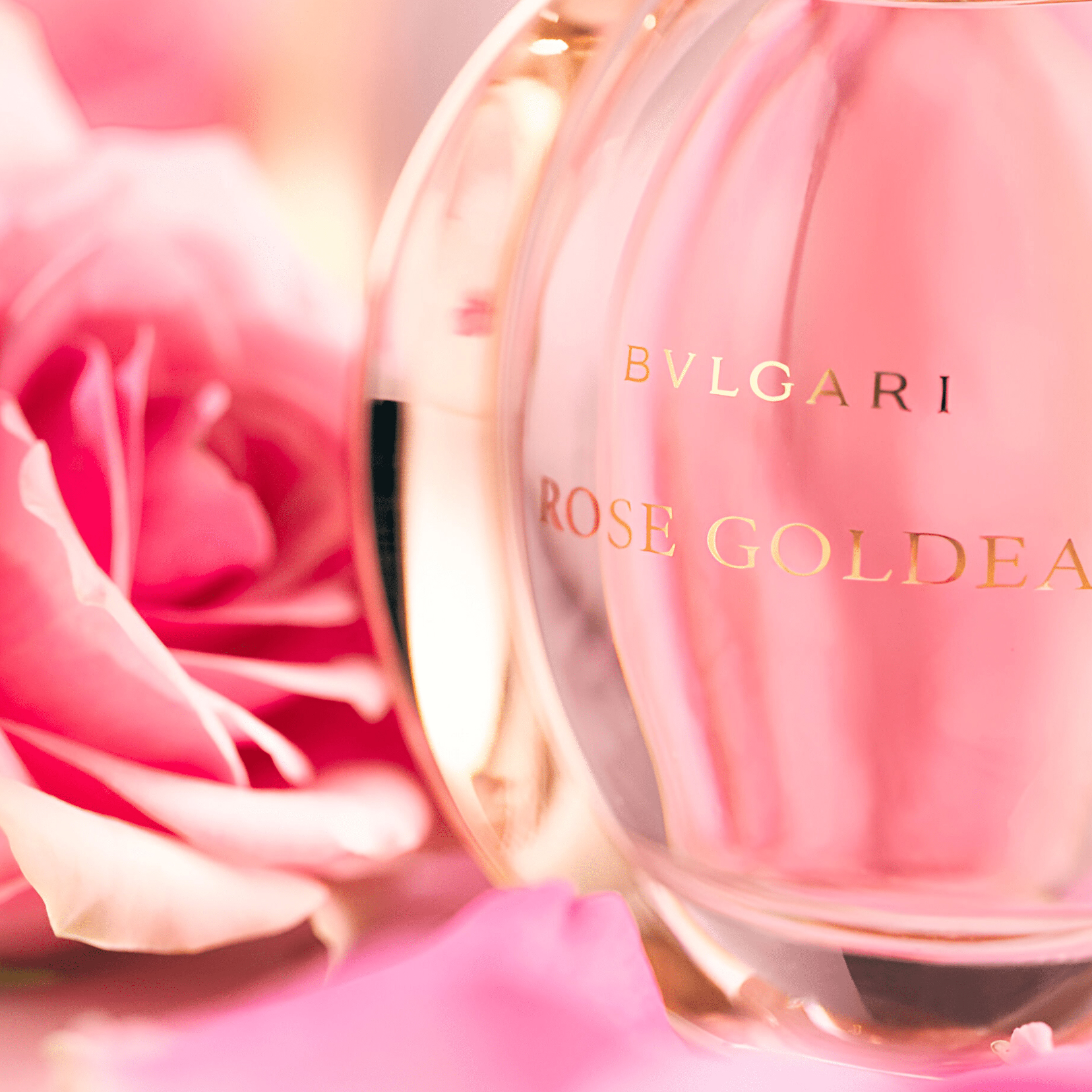 Bvlgari Rose Goldea EDP | My Perfume Shop