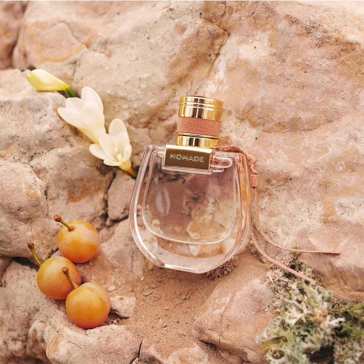 Chloé Nomade EDP | My Perfume Shop