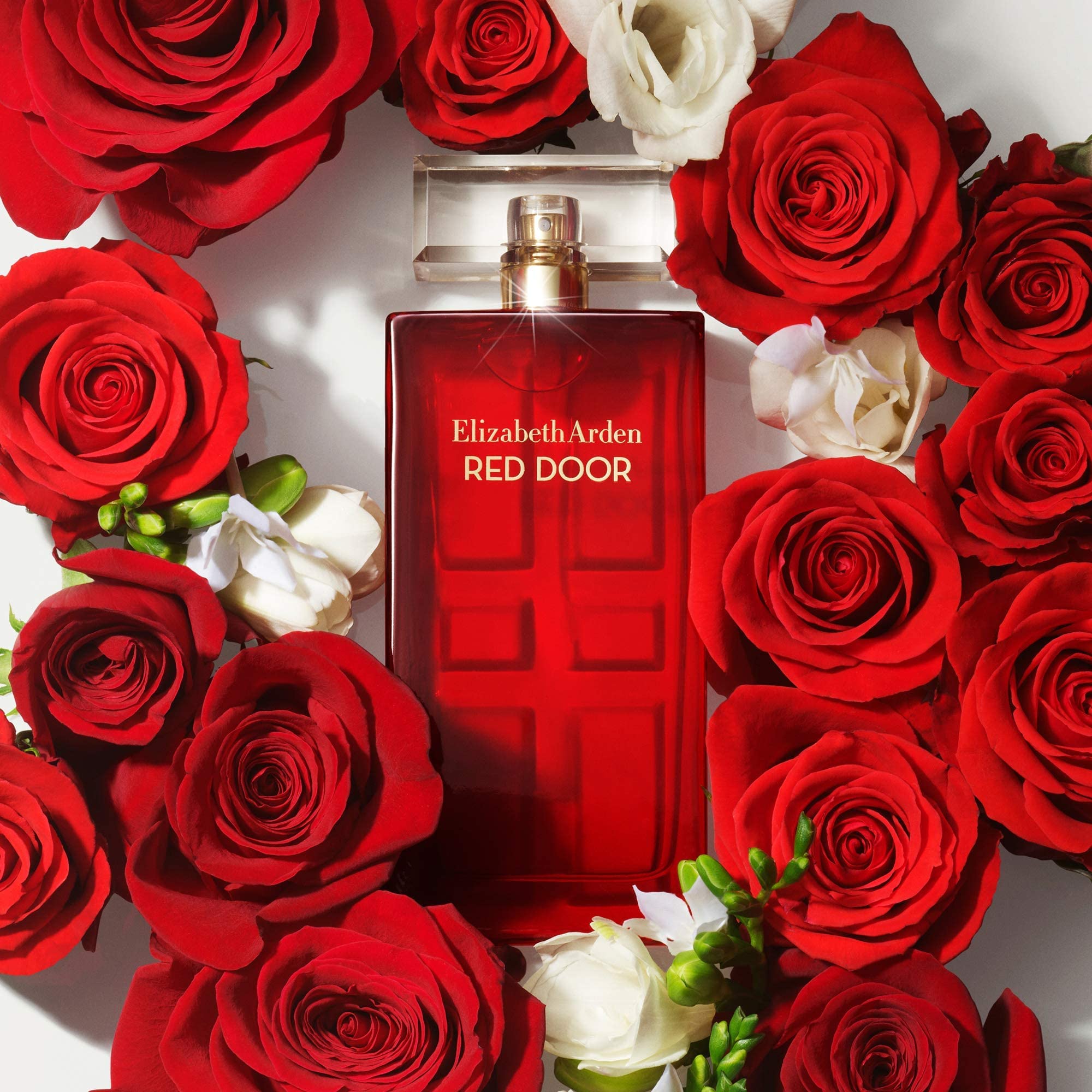 Elizabeth Arden Red Door EDT | My Perfume Shop