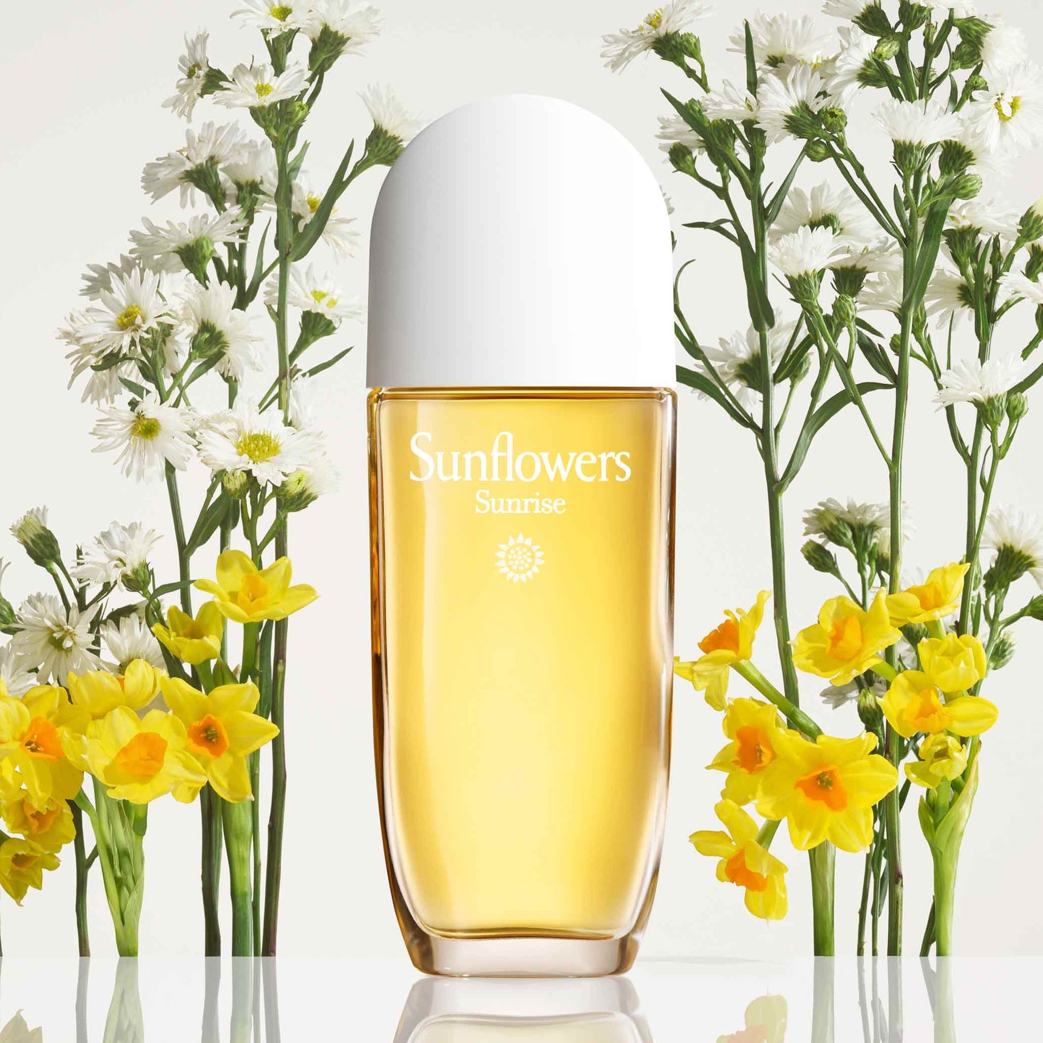 Elizabeth Arden Sunflowers EDT | My Perfume Shop