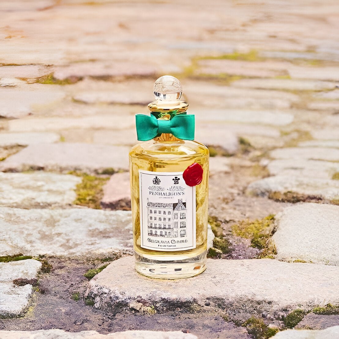 Penhaligon's Belgravia Chypre EDP | My Perfume Shop