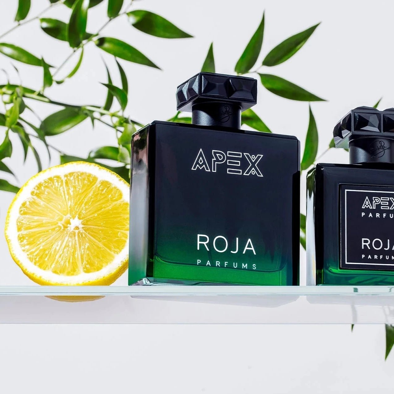 Roja Parfums Apex EDP | My Perfume Shop