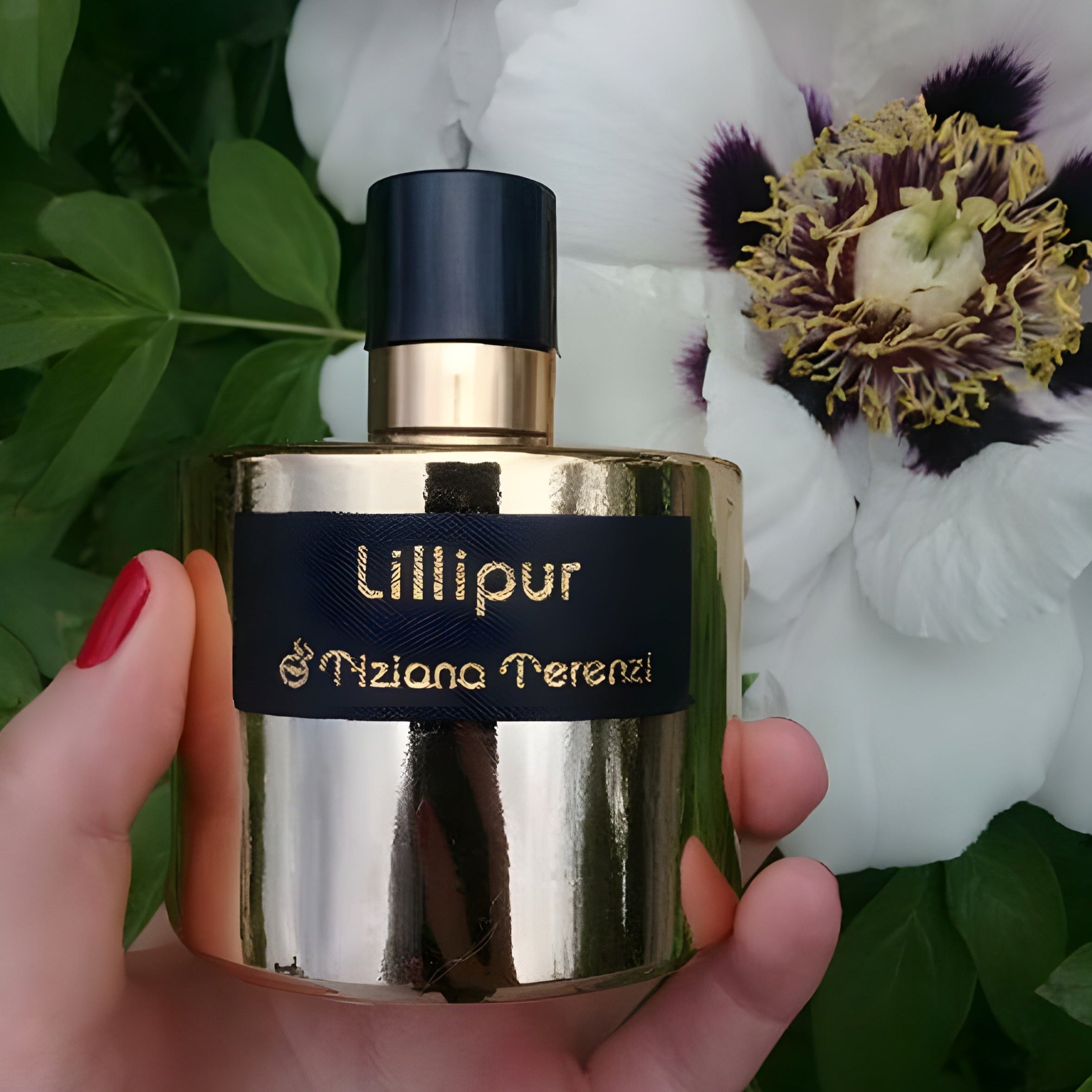 Tiziana Terenzi Lillipur Extrait De Parfum | My Perfume Shop